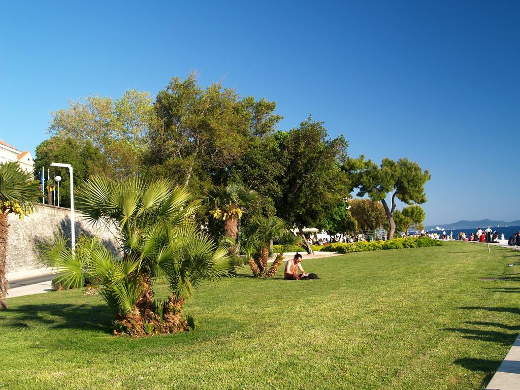 زادار Apartment Evergreen المظهر الخارجي الصورة